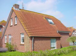 DSC06794