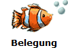 Belegung